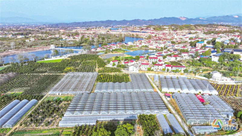 永和镇大力发展花木产业，形成了从育苗到造型的全产业链。