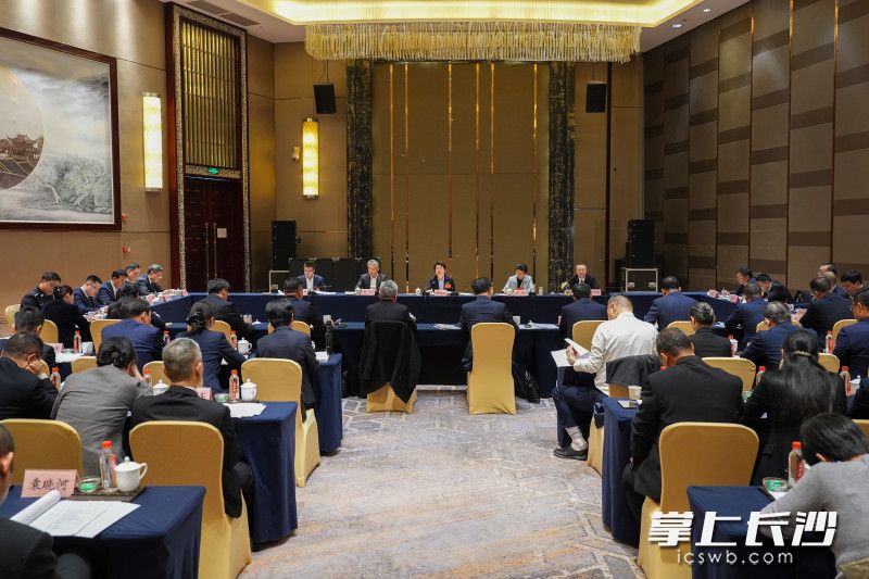 宁乡市代表团会场。