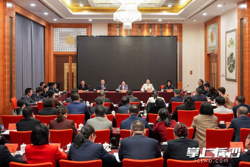 天心区代表团会场。均为长沙晚报全媒体记者 郭雨滴 摄