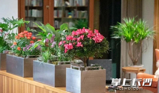 种植箱。 种植箱。