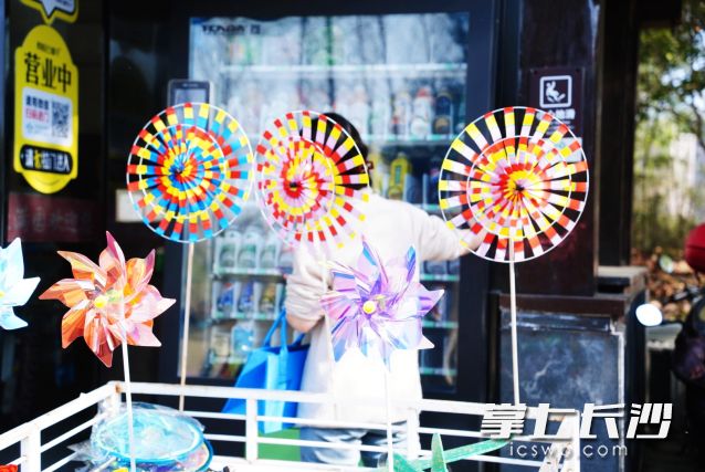 “三九”寒天长沙晴暖如春。  均为长沙晚报全媒体记者 舒元臻 摄