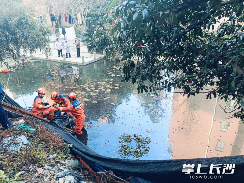 消防员在水塘中营救被困老人。 消防员在水塘中营救被困老人。