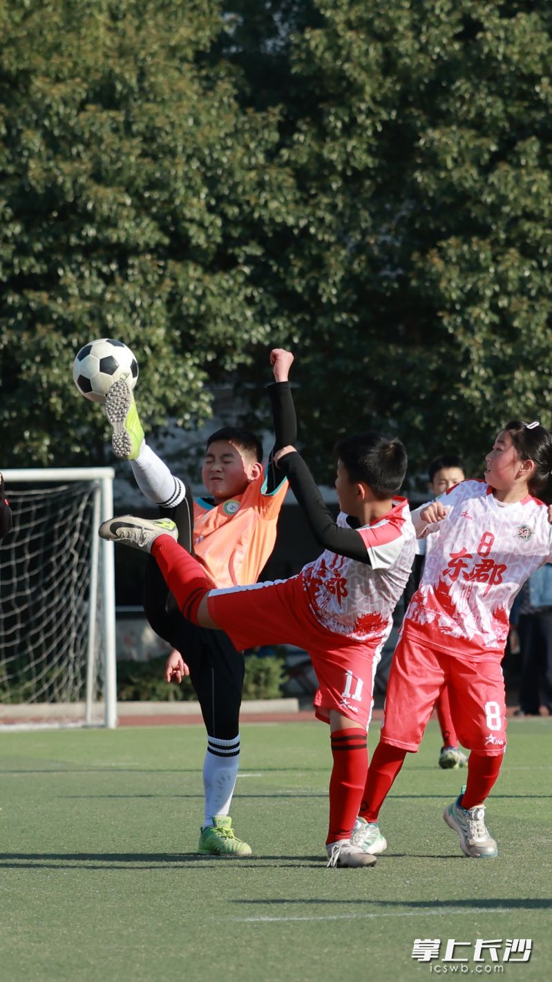 本次联赛仅校级初赛阶段，就覆盖全区42所中小学（含2所行业子弟学校），参与学生超3万人次，真正实现了“全员参与”的赛事目标。