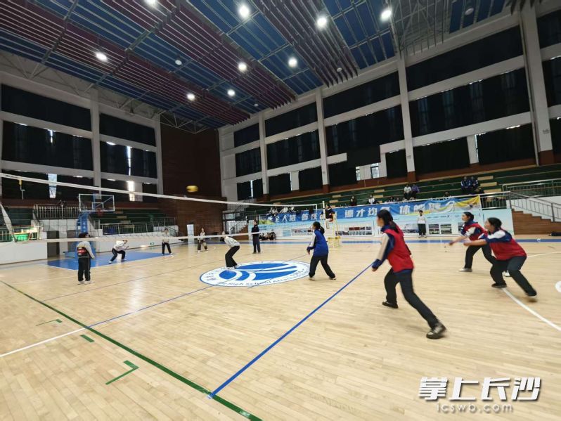 从校园内的简易赛场到专业的体育场馆，芙蓉区让“三大球”运动真正走进了每一个班级、每一位学生。