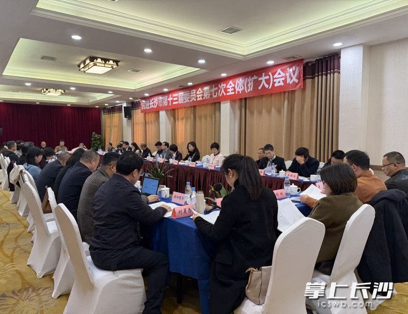 会议现场。 长沙晚报全媒体记者 刘俊 摄