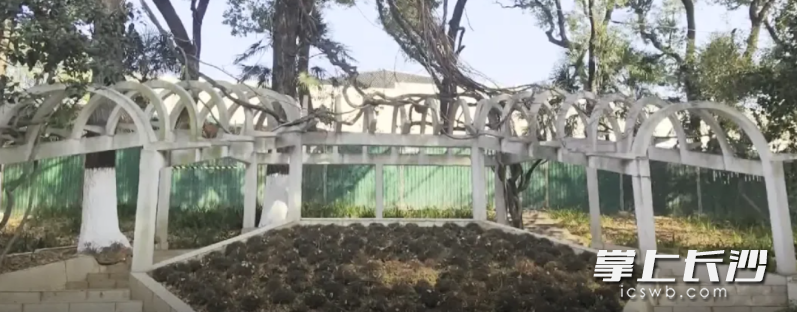 入口广场施工中。资料图片