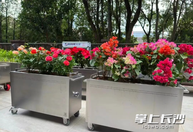 种植推车。企业供图