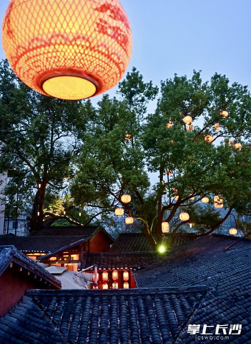 超5000平方米青砖黛瓦中式庭院里上演火锅音乐节。 均为长沙晚报全媒体记者 李卓 摄