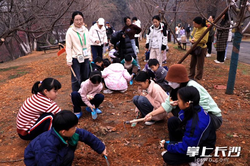 18日，省植物园启动“小手种春天”公益科普活动。均为长沙晚报全媒体记者 贺文兵 摄