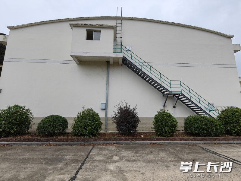 某物流公司的储粮仓库。均为受访者供图