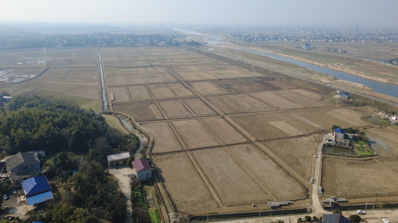 昔日零散土地变身现代化良田。图片均由长沙晚报通讯员 刘瑞洁 提供