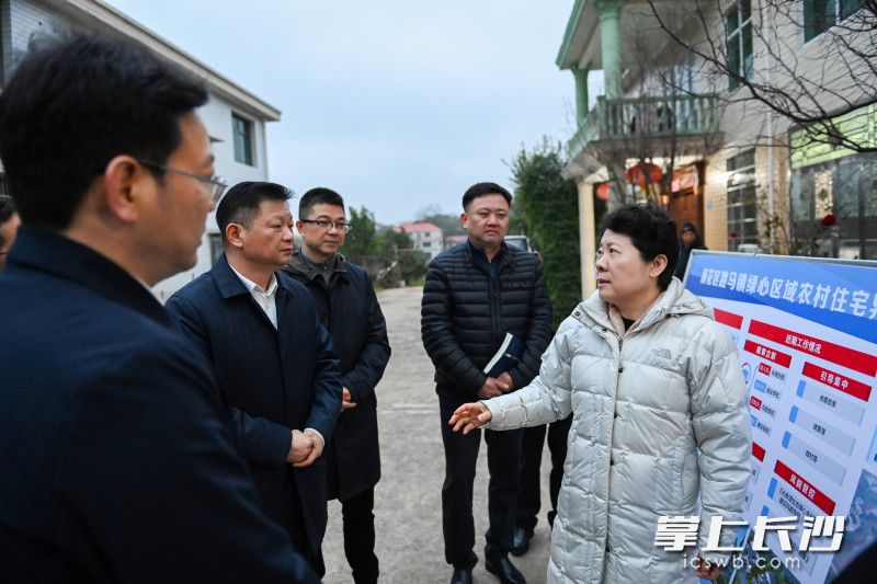 雨花区跳马镇关刀新村调研现场。 均为长沙晚报全媒体记者 郭雨滴 摄