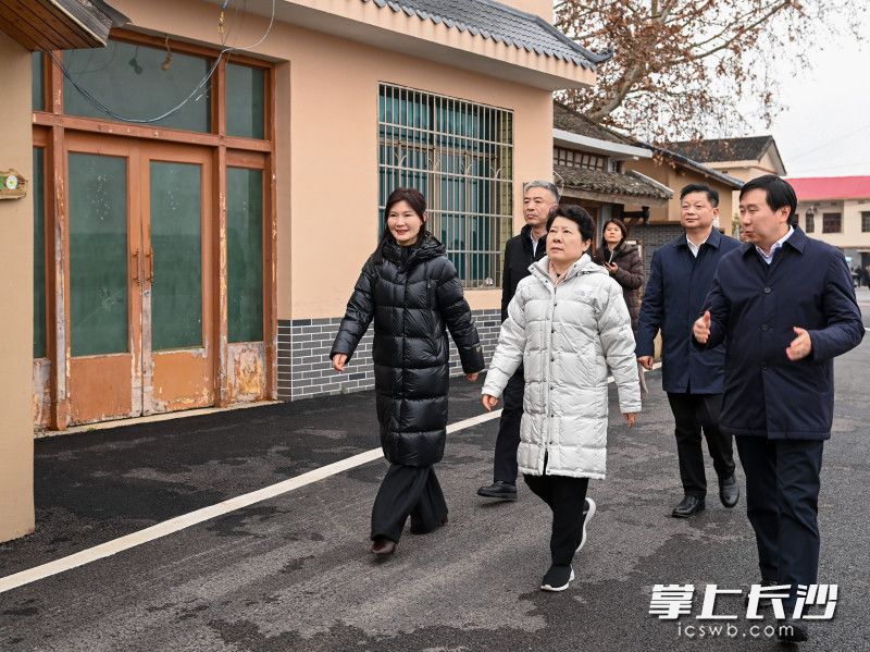 兴马洲调研现场。