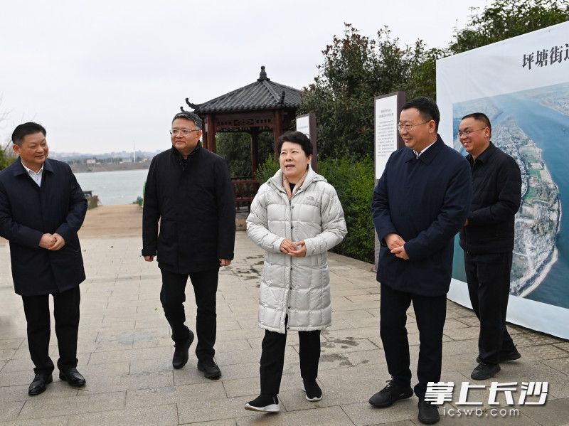 1月19日，省委常委、市委书记吴桂英调研长株潭一体化发展工作，在鹅洲了解生态绿心保护、资源融合发展、村民生产生活等情况。