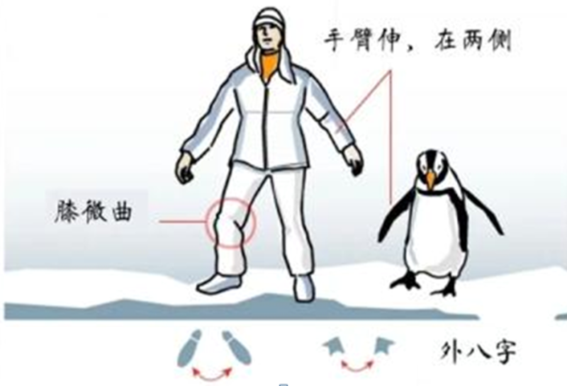 冰雪天防滑倒，医务人员推荐学走“企鹅步”，可以稳稳向前。 通讯员供图