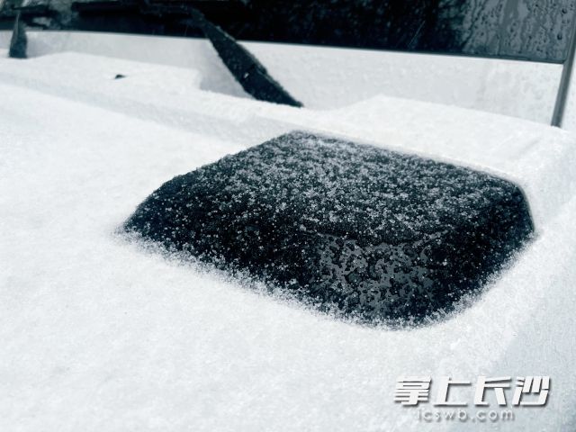 车辆上覆盖了“冰粒子”。 长沙晚报全媒体记者 舒元臻摄