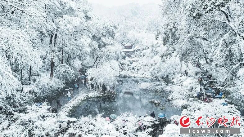 美丽的潭州雪景背后是严阵以待的身影、系统运行的预案，构成长沙冬日里最厚重的“暖情书”。图片来源于长沙晚报网