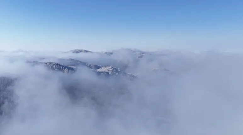 浏阳正着力打造“春赏花、夏漂流、秋品果、冬滑雪”的全季旅游品牌，冰雪资源得天独厚的大围山填补了大规模冰雪项目的空白。图片来自于浏阳市融媒体中心