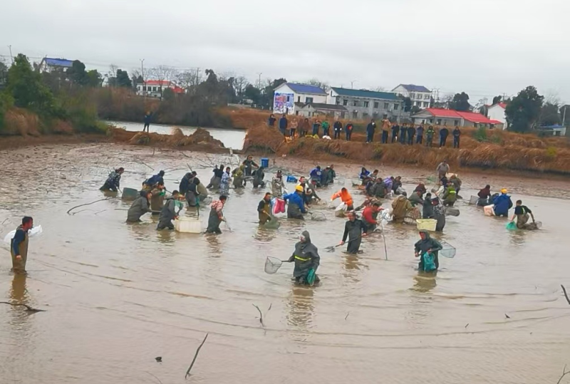 身着防水服的游客在鱼塘摸鱼。