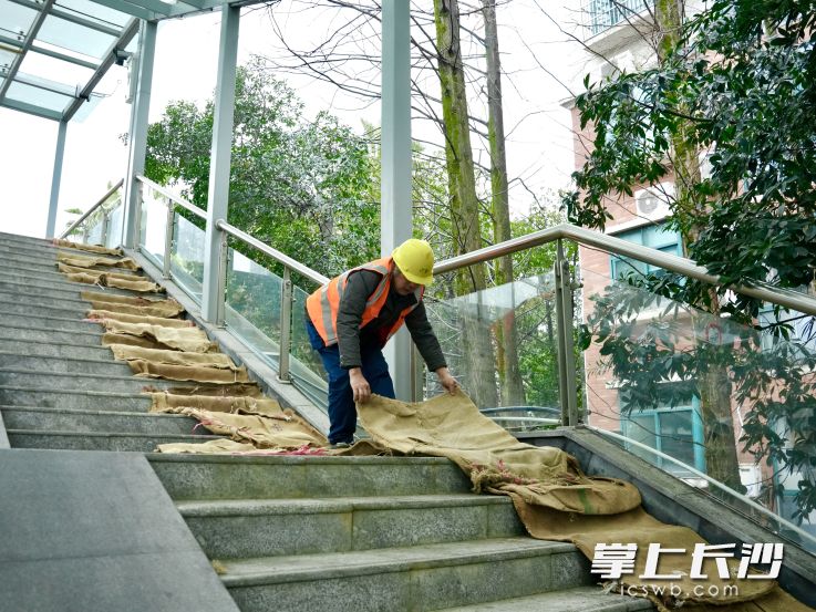 20日清晨，市政工人孙平在明月路人行天桥上铺设麻袋，为市民搭建安全出行“走廊”。 均为长沙晚报通讯员杨欣雨供图