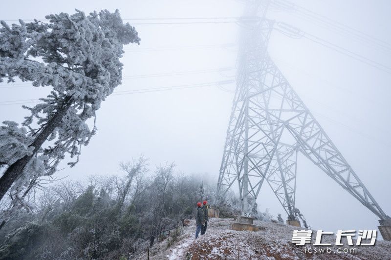 21日11时,浏阳市蕉溪镇蕉溪岭上,国网长沙输电检修公司的工作人员正在查看杆塔情况。 均为长沙晚报全媒体记者黄启晴摄 21日11时,浏阳市蕉溪镇蕉溪岭上,国网长沙输电检修公司的工作人员正在查看杆塔情况。 均为长沙晚报全媒体记者黄启晴摄