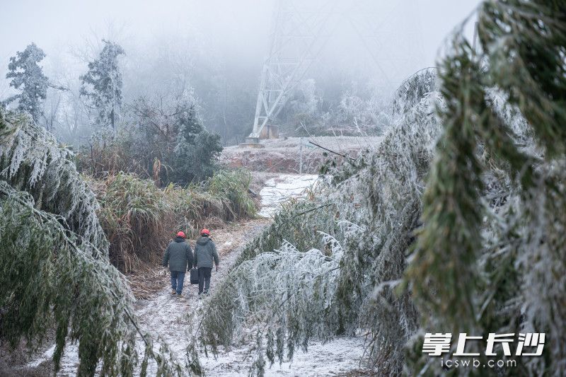 输电运检人员张丰(左)、蒋正湘在风雪中走向下一个铁塔。 输电运检人员张丰(左)、蒋正湘在风雪中走向下一个铁塔。