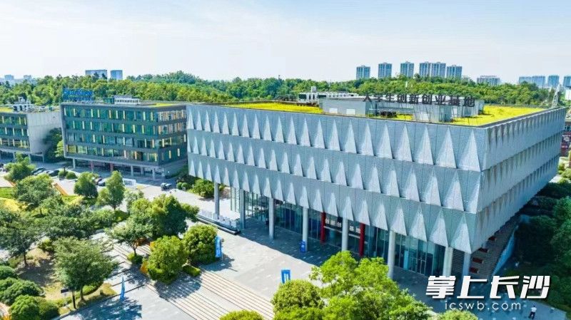 望城经开区大学生创新创业基地。 望城经开区大学生创新创业基地。