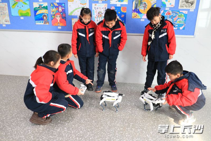 学生们正在操作机器狗。