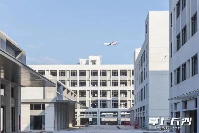 玉湖冷链长沙项目预计将于2026年全面开园。刘思源 供图