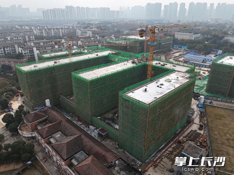 近日,湘郡培粹实验中学隆平校区实现主体结构全面封顶。 长沙晚报全媒体记者 王志伟 通讯员 张晓 摄 近日,湘郡培粹实验中学隆平校区实现主体结构全面封顶。 长沙晚报全媒体记者 王志伟 通讯员 张晓 摄