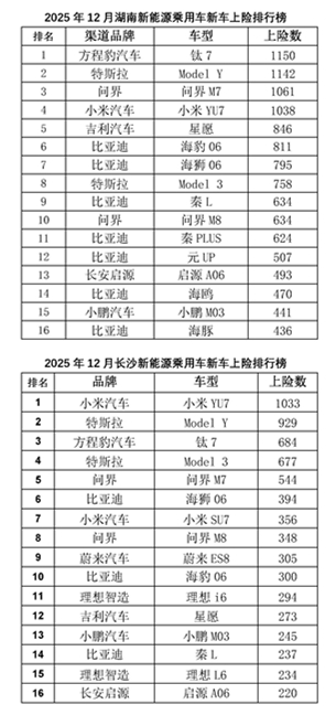 2025年12月湖南新能源车上险榜、2025年12月长沙新能源车上险榜。