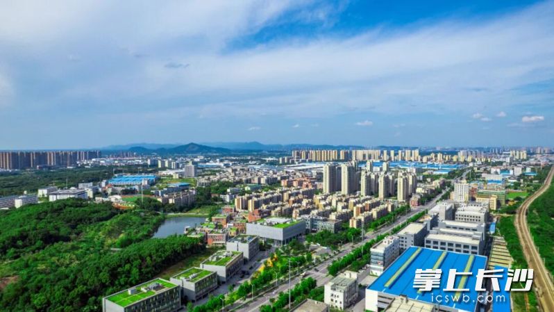 望城经开区创智岛产业园成为创业者乐土。长沙晚报通讯员 陈柄丞 供图