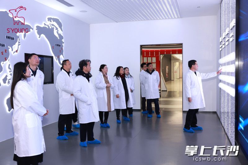 长沙商标品牌专家行服务团深入水羊集团股份有限公司了解企业商标品牌情况。 通讯员供图 长沙商标品牌专家行服务团深入水羊集团股份有限公司了解企业商标品牌情况。 通讯员供图