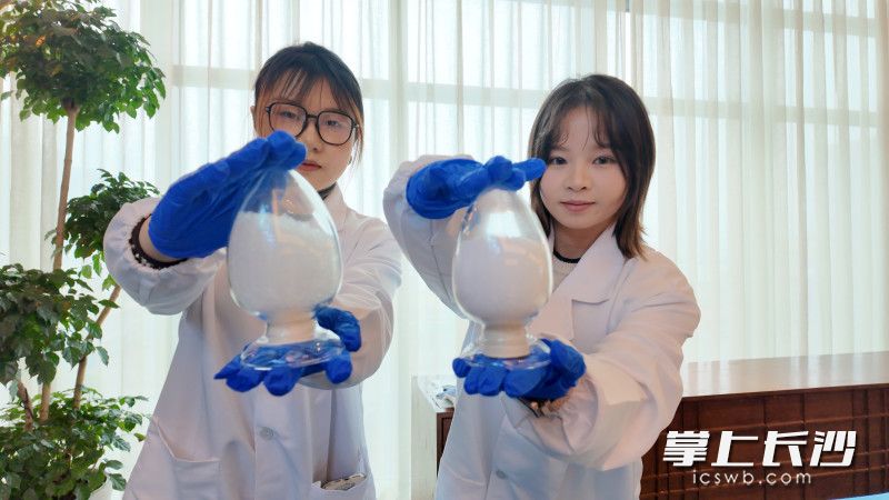 中南大学团队展示其自主研发的常压干燥制备的透明气凝胶材料。