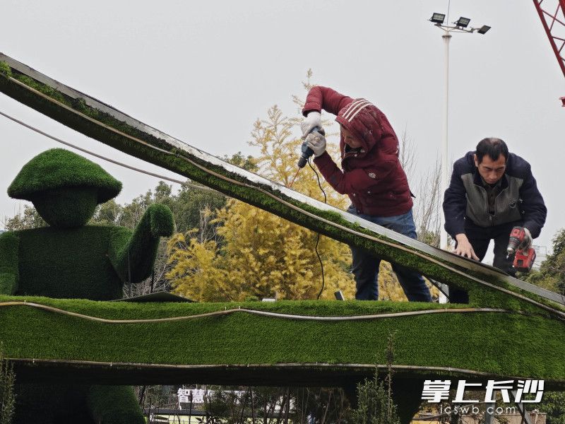 “钢琴”修复中。