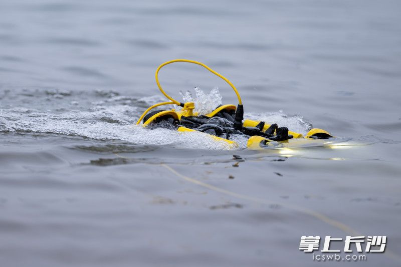 水下巡查机器人，成了桥墩检测的水下侦察兵。