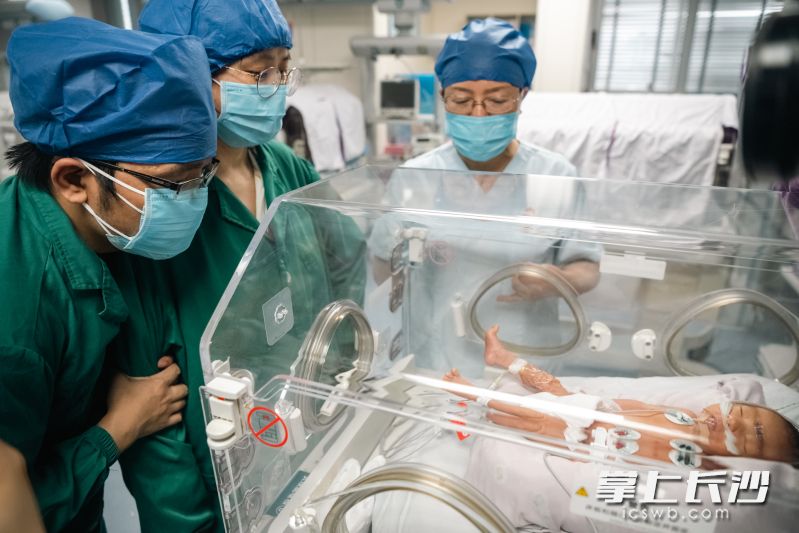 出生体重仅1.8公斤的早产宝宝躺在湖南省人民医院新生儿科保温箱,已成功脱离无创呼吸机,活力度和反应能力良好。 长沙晚报通讯员 申勇 供图 出生体重仅1.8公斤的早产宝宝躺在湖南省人民医院新生儿科保温箱,已成功脱离无创呼吸机,活力度和反应能力良好。 长沙晚报通讯员 申勇 供图