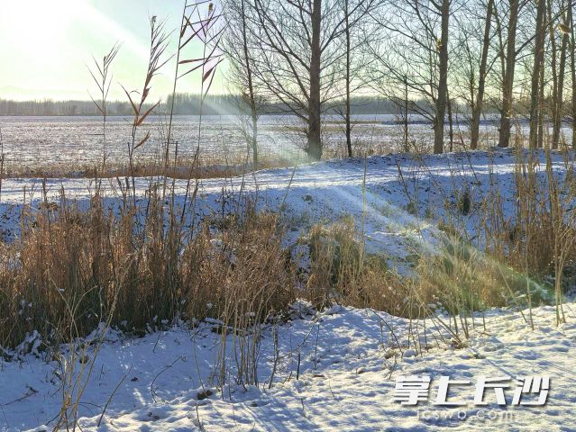 湘中以北将出现雪或雨夹雪天气。 长沙晚报全媒体记者 舒元臻 摄 湘中以北将出现雪或雨夹雪天气。 长沙晚报全媒体记者 舒元臻 摄