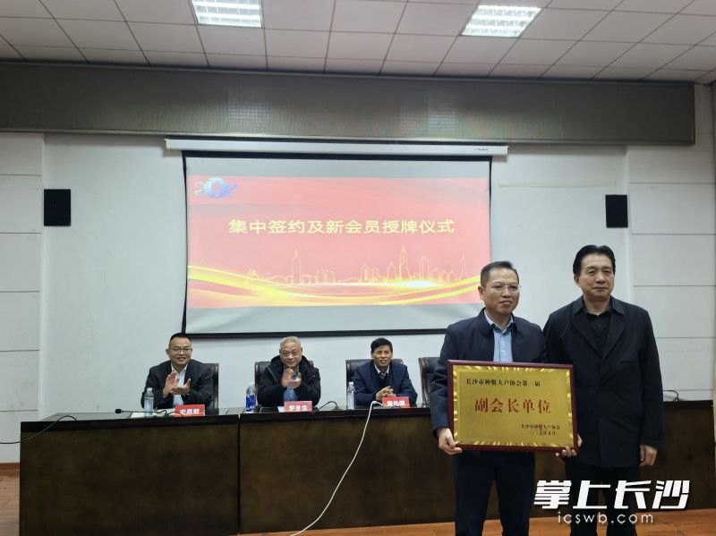集中签约及新会员授牌仪式。 长沙晚报全媒体记者 田也 摄