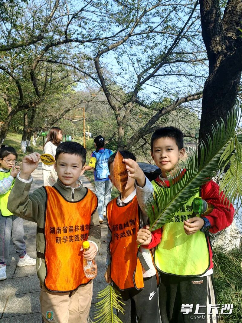 孩子们在亲近自然。