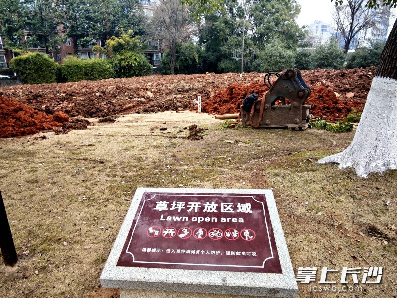 公园草坪开放区域。 公园草坪开放区域。