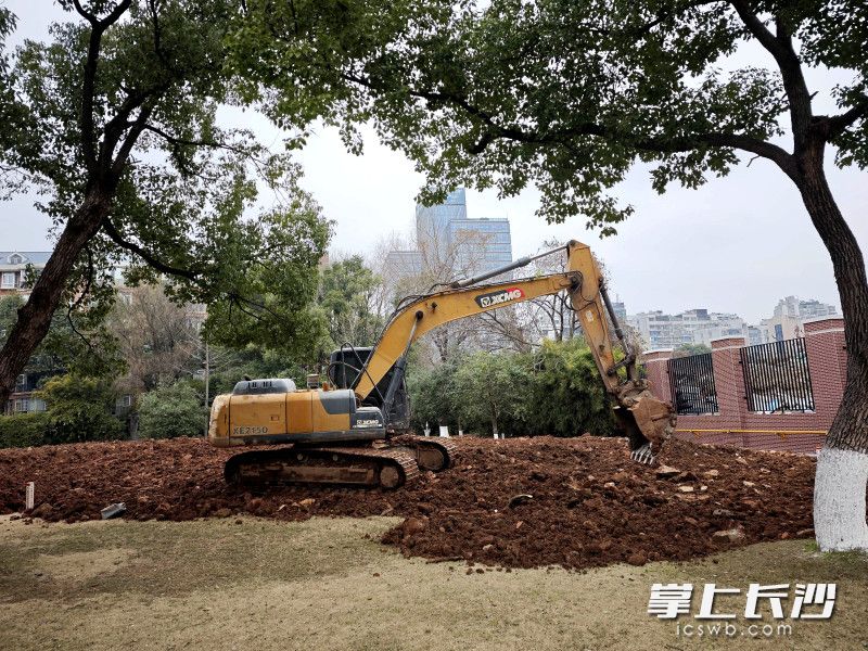 湖南烈士公园东门区域绿地填土平整施工正在进行。均为长沙晚报全媒体记者 贺文兵 摄 湖南烈士公园东门区域绿地填土平整施工正在进行。均为长沙晚报全媒体记者 贺文兵 摄