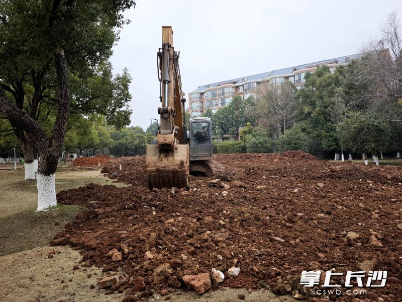 分层回填土壤。 分层回填土壤。