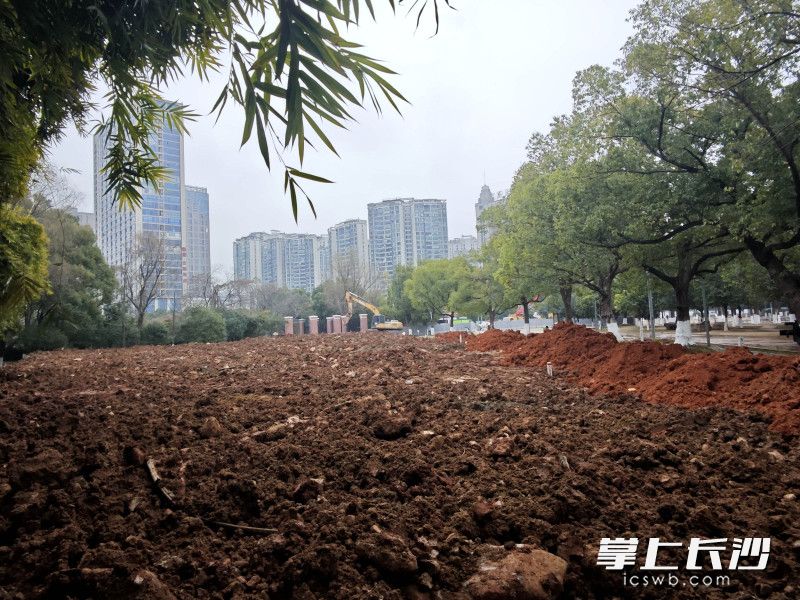 待地形整理完毕后,将重新铺设优质草皮。 待地形整理完毕后,将重新铺设优质草皮。