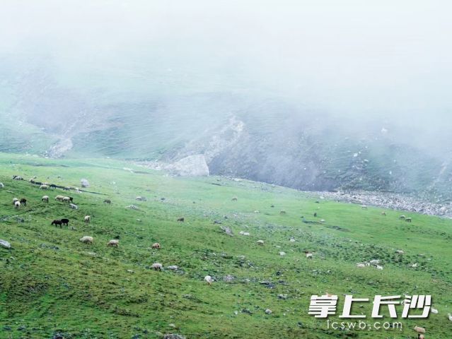 阳光相伴、暖意又回，正是出门采购年货、享受冬日好时光的绝佳时机。  长沙晚报全媒体记者 舒元臻摄