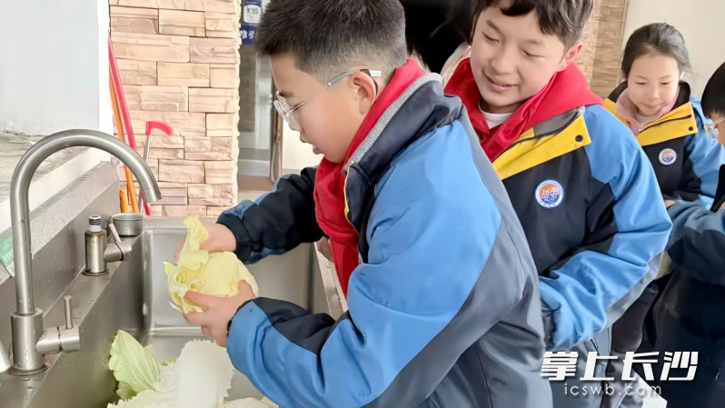 这场跳出课本的实践活动，将五育融合理念融入日常，用温暖的教育实践，为素质教育落地提供了生动范本。长沙晚报通讯员 王琦 摄