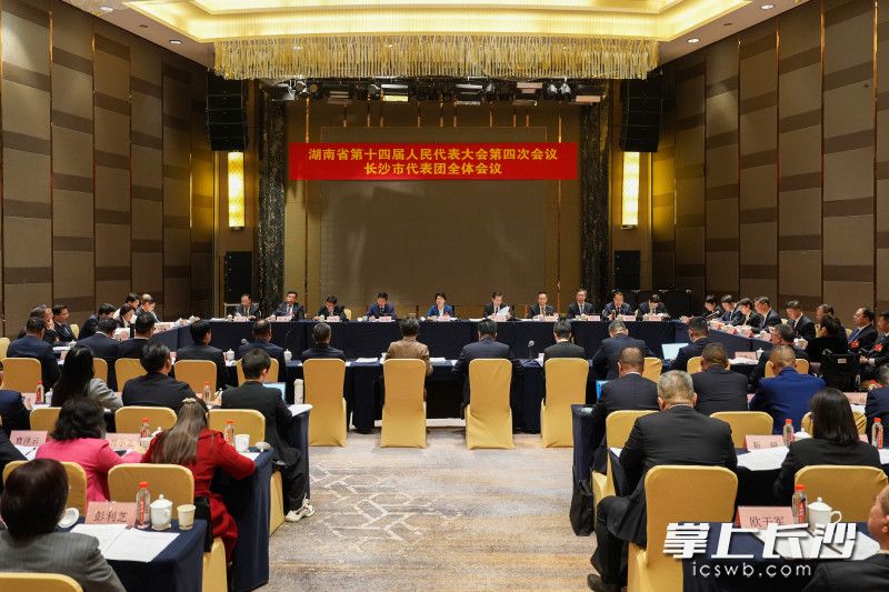 2月3日，省十四届人大四次会议长沙市代表团举行第三次全体会议。 长沙晚报全媒体记者 郭雨滴 摄