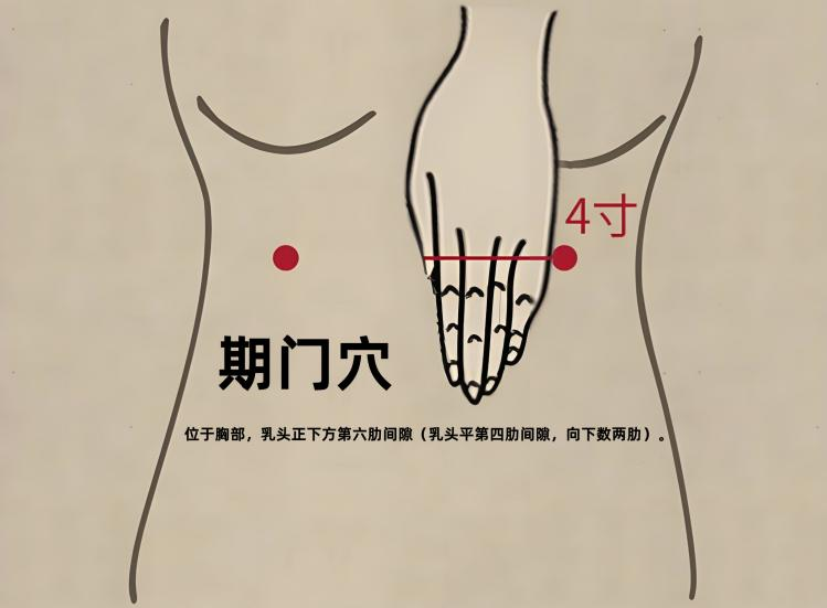 期门穴示意图