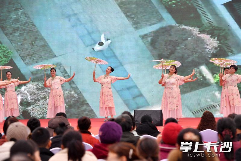 歌舞、魔术、曲艺轮番上演，形式多样、亮点纷呈。均为长沙晚报全媒体记者王志伟摄