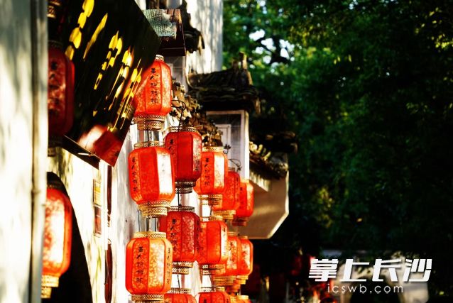 今日迎来二十四节气之首的立春，也是“六九”第一天。 长沙晚报全媒体记者 舒元臻摄